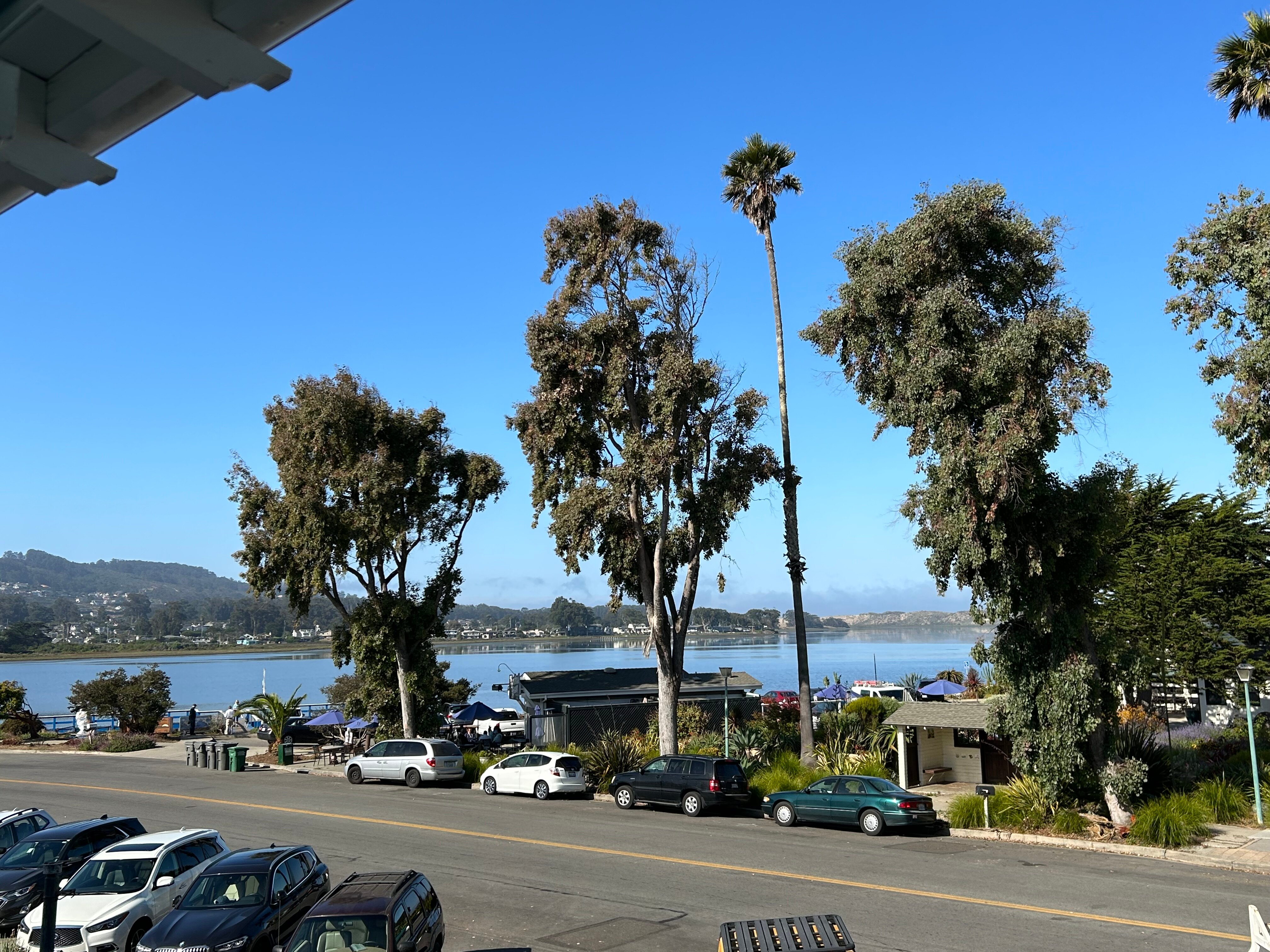 Baywood Inn Bed and Breakfast-酒店景观