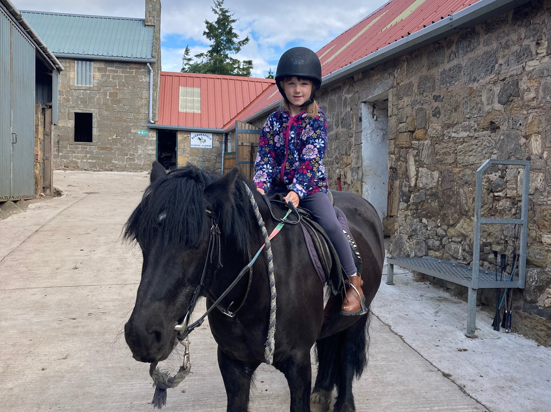 Barbarafield Riding School景点图片