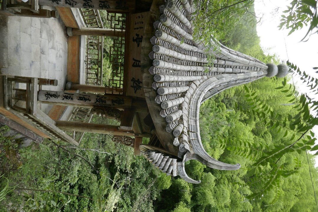 丽水庆元百山祖