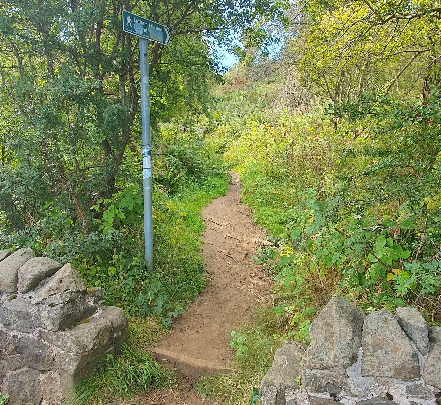 Letham Hill Wood