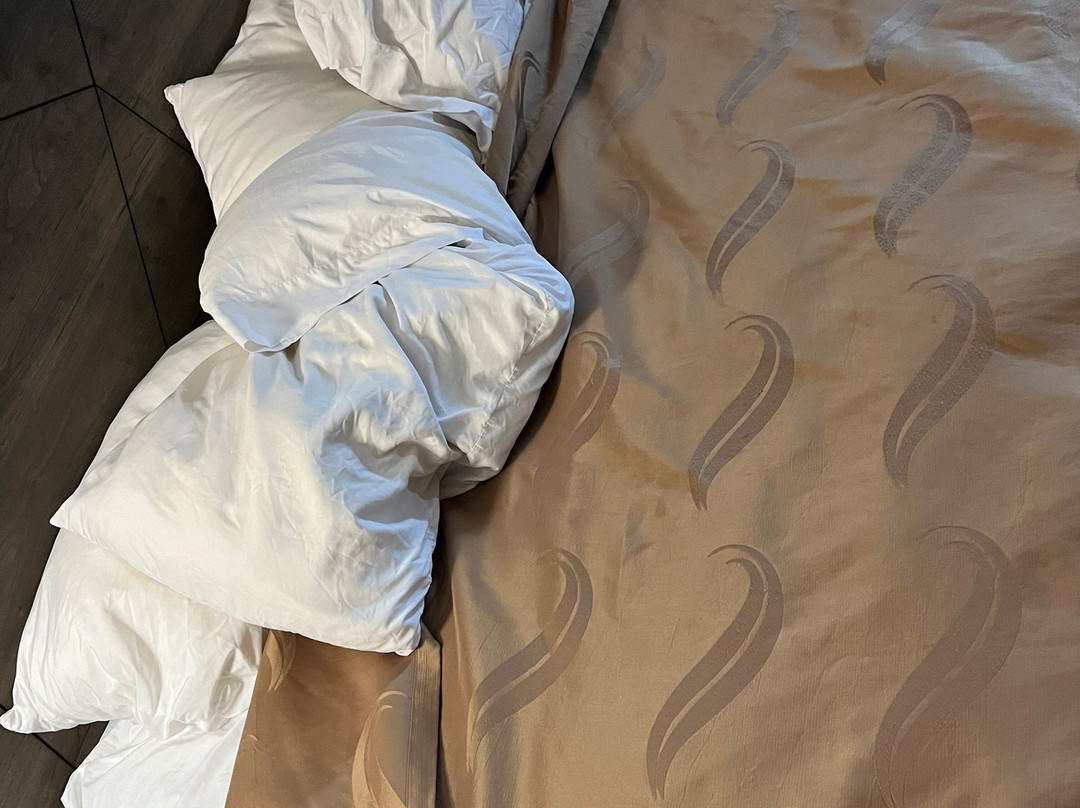 Quality Inn Near I-72 And Hwy 51主图