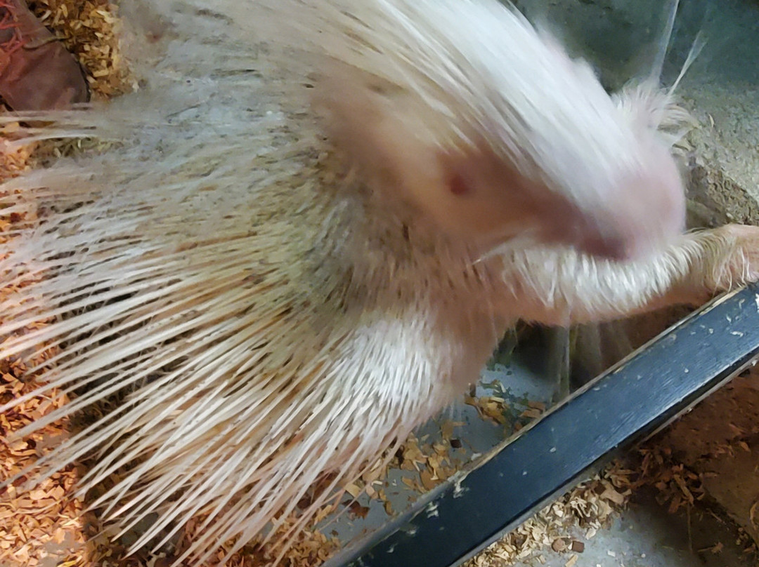 SeaQuest Fort Worth-沃思堡必去景点