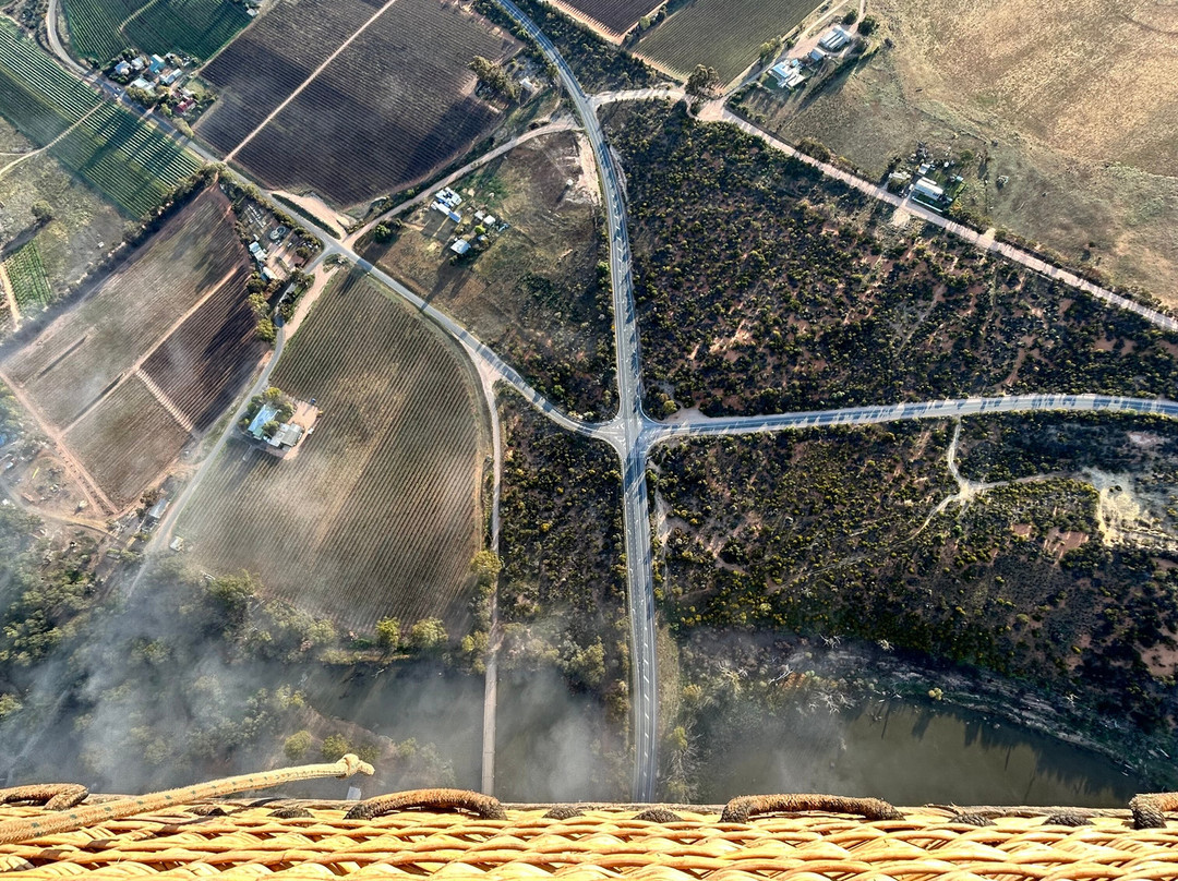 Barossa Valley Ballooning景点图片