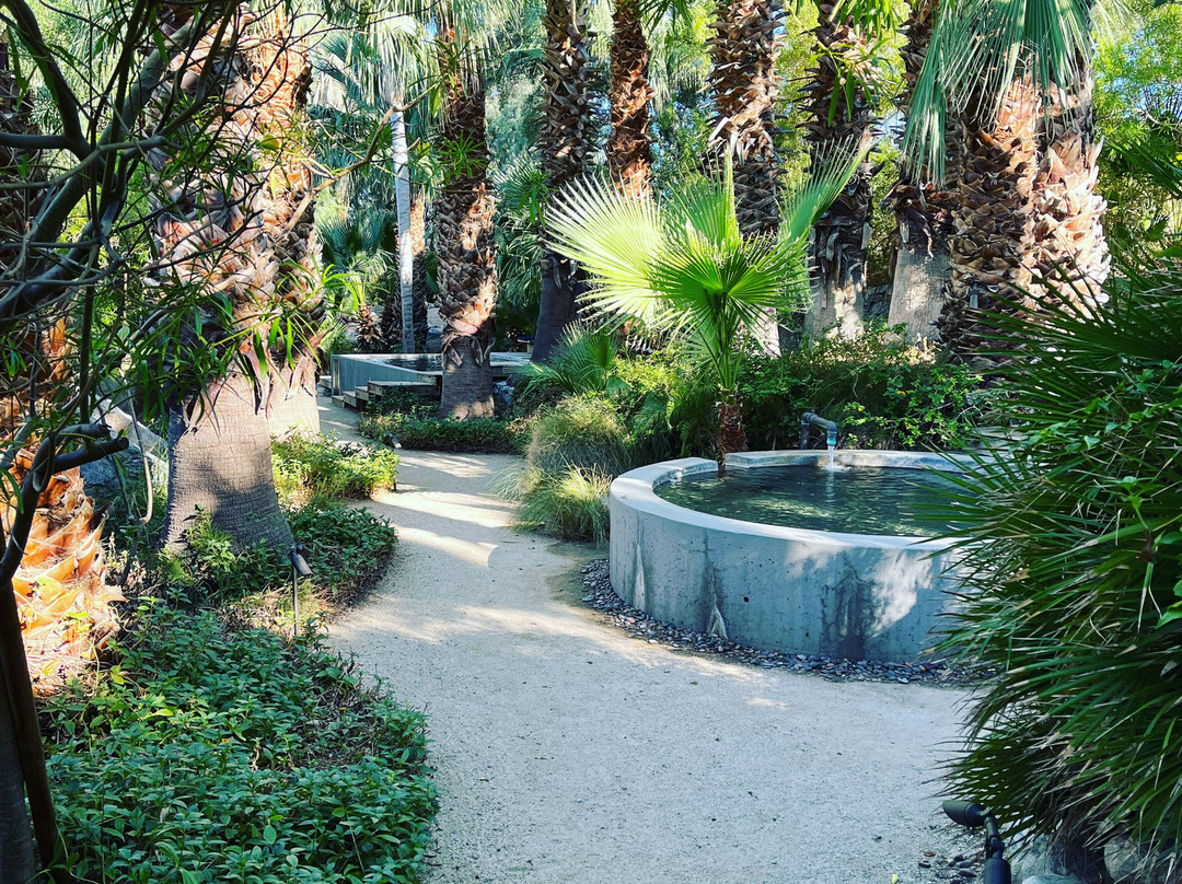 Two Bunch Palms主图