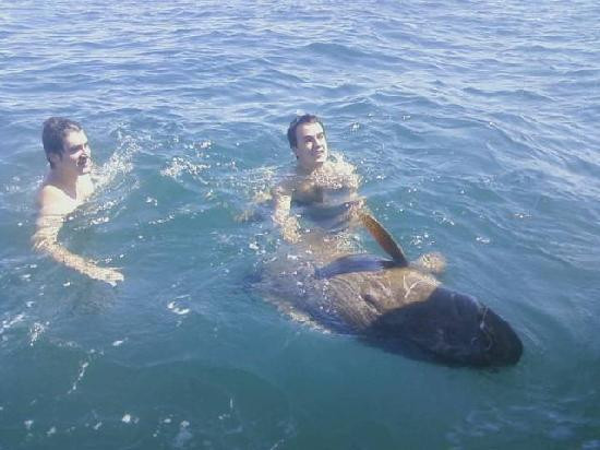 Paradise Fishing Charters-Don Pedro Island必去景点