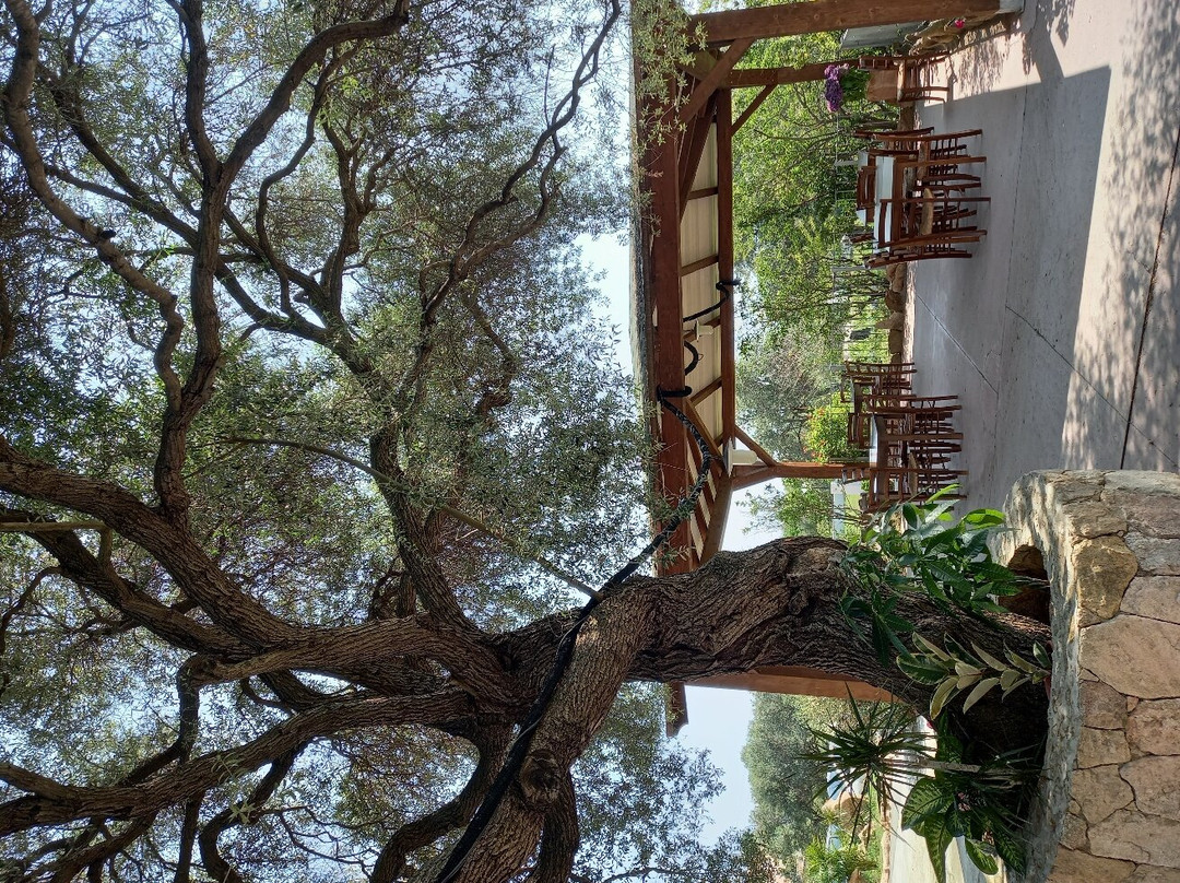Agriturismo Su Cuile主图