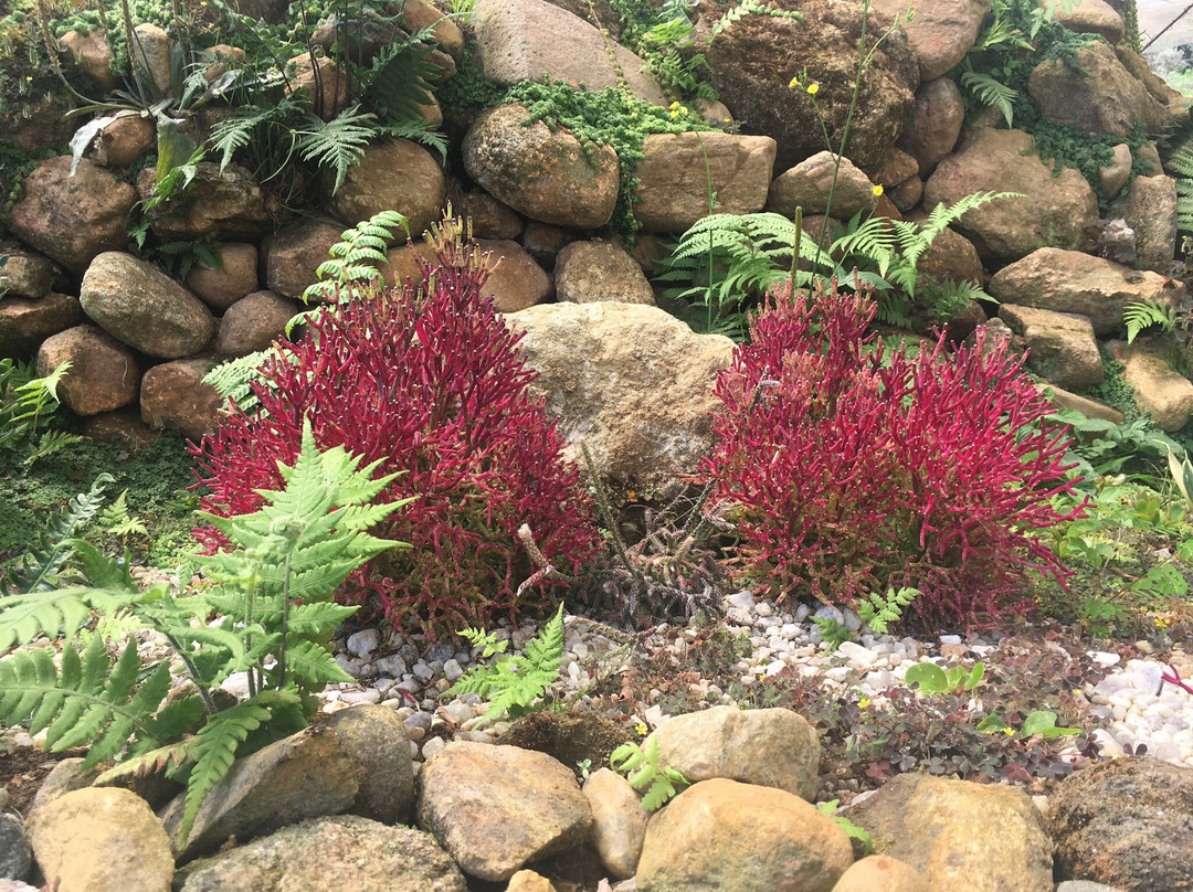 Villa René-圣安东尼奥杜皮尼亚尔必去景点