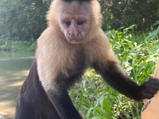 Manakin Adventures Panama-巴拿马城必去景点
