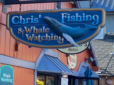 Chris' Fishing Trips & Whale Watching-蒙特雷必去景点
