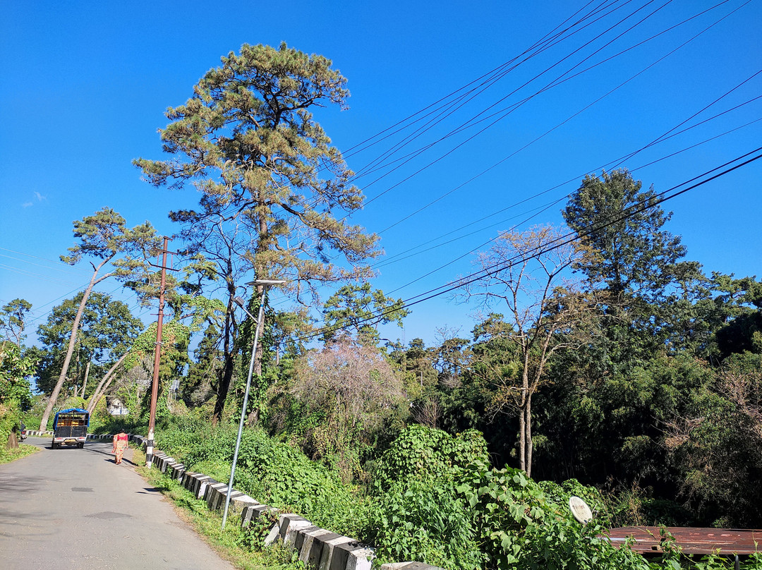 Meghalaya’s Mawlynnong景点图片
