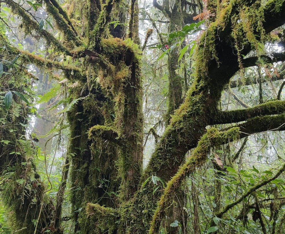 Nature Trails Ang Ka-宗通必去景点