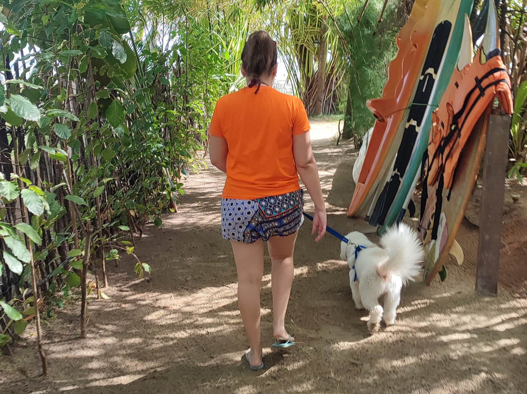 La Casa di Pietra主图