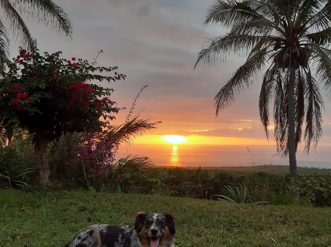 科纳湾景家庭式客栈主图