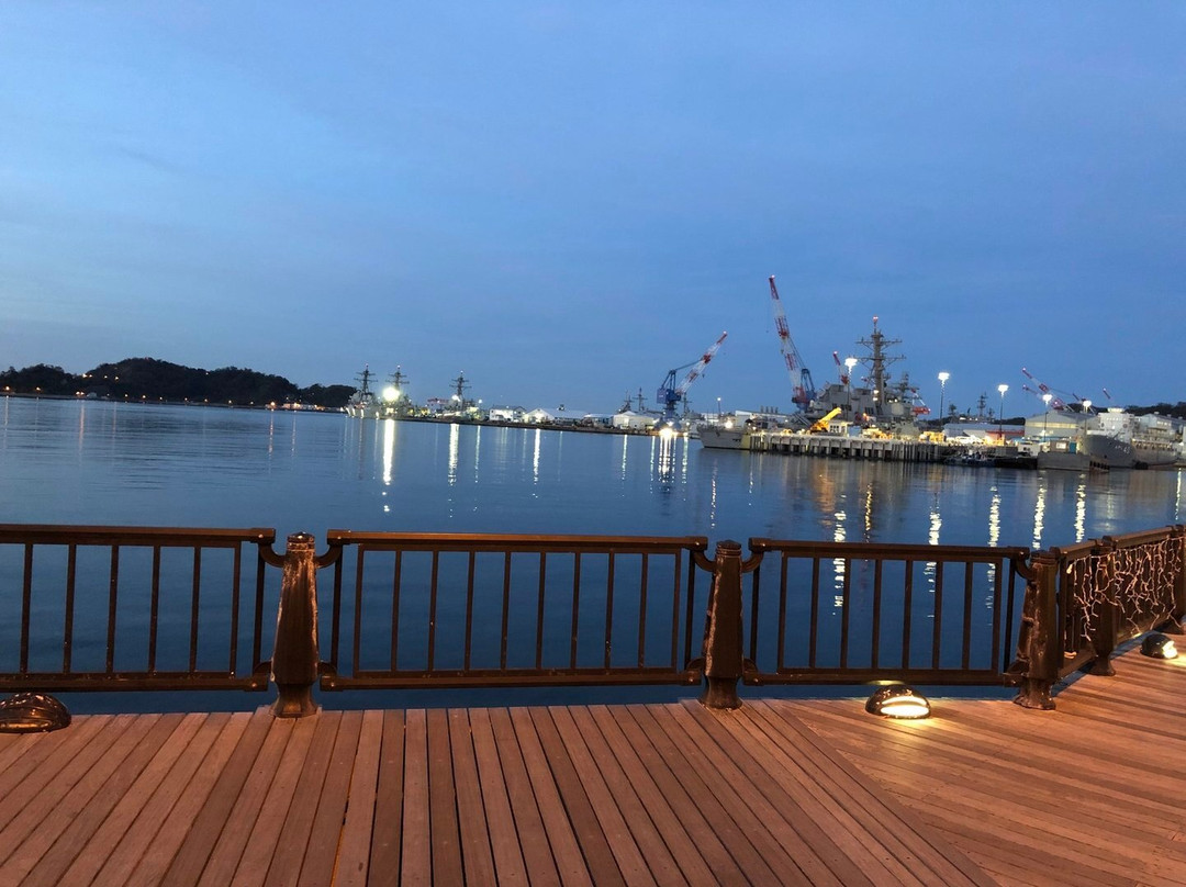 Verny Park景点图片