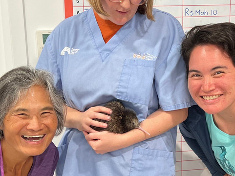 The National Kiwi Hatchery Aotearoa-罗托鲁瓦必去景点