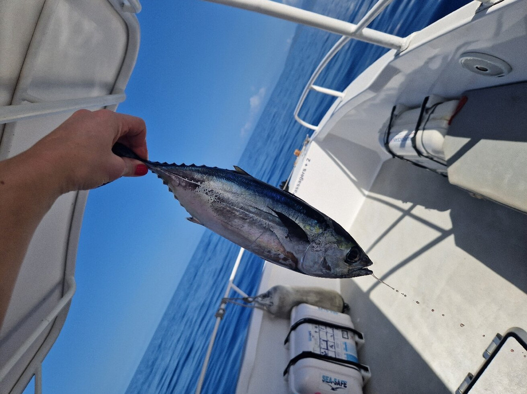 Amphitrite Balade en Mer : Dauphins et Pêche-Case-Pilote必去景点