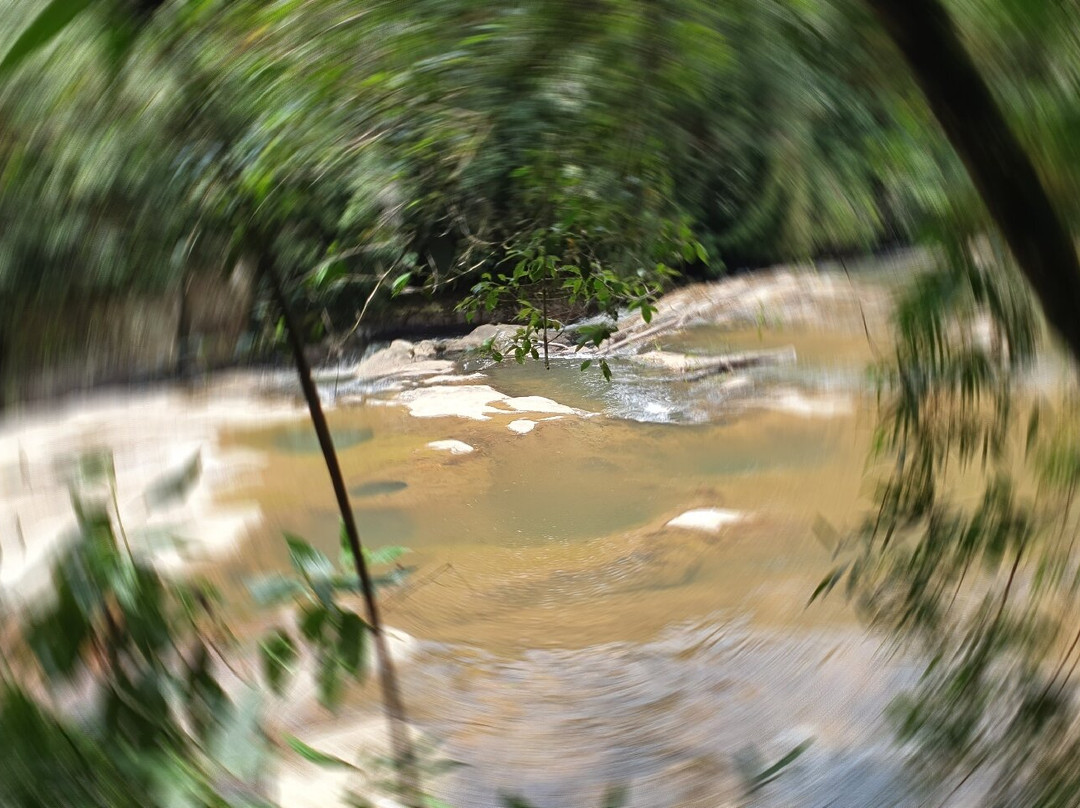 Parque Estadual Serra do Mar-Cunha必去景点