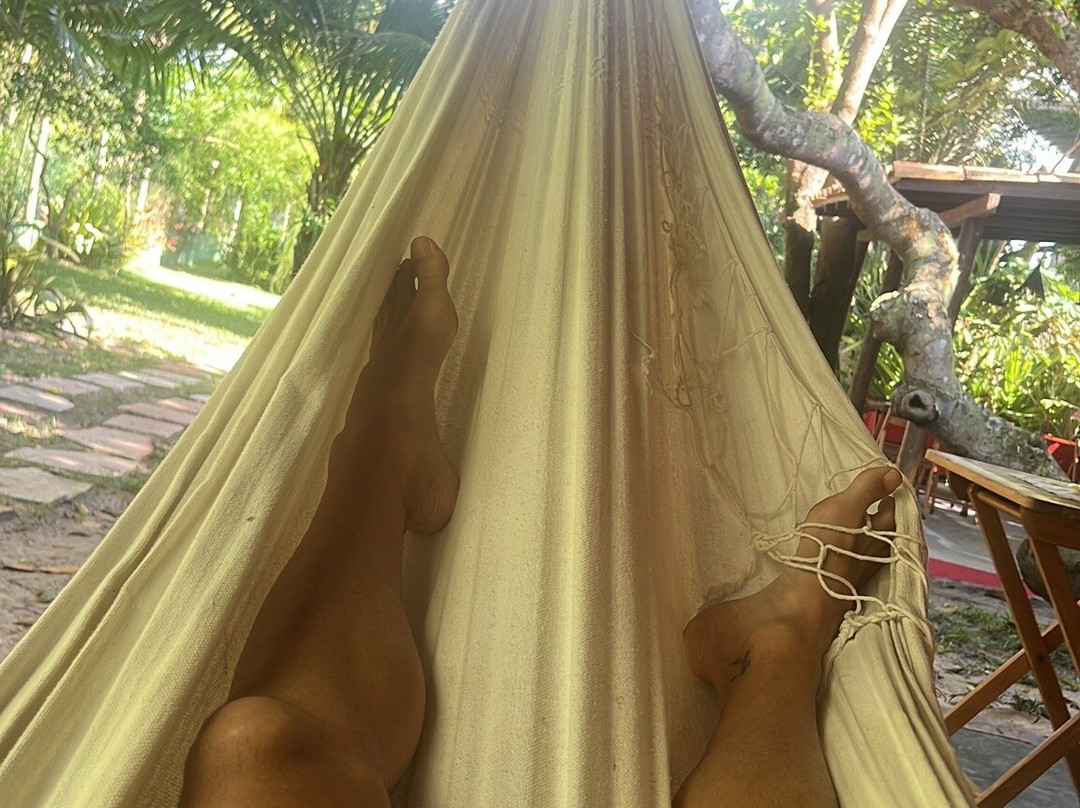 Pousada Tortuga主图