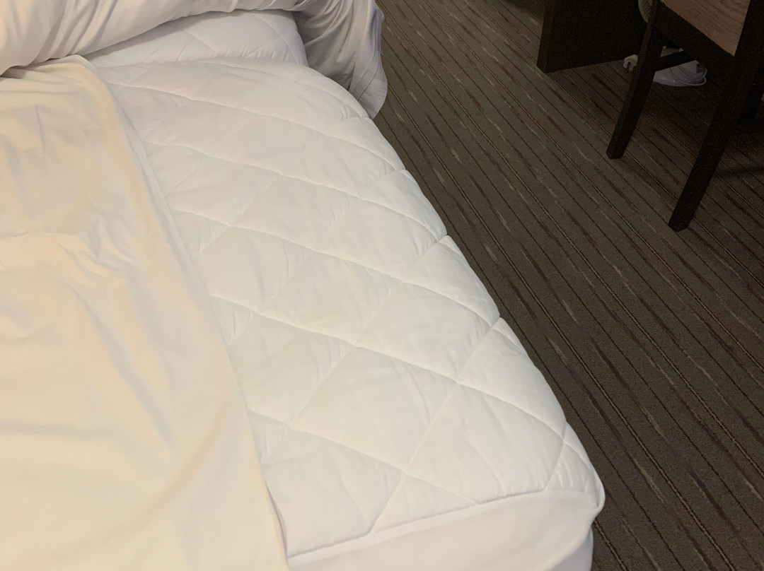 Premier Inn Crewe Nantwich Hotel主图
