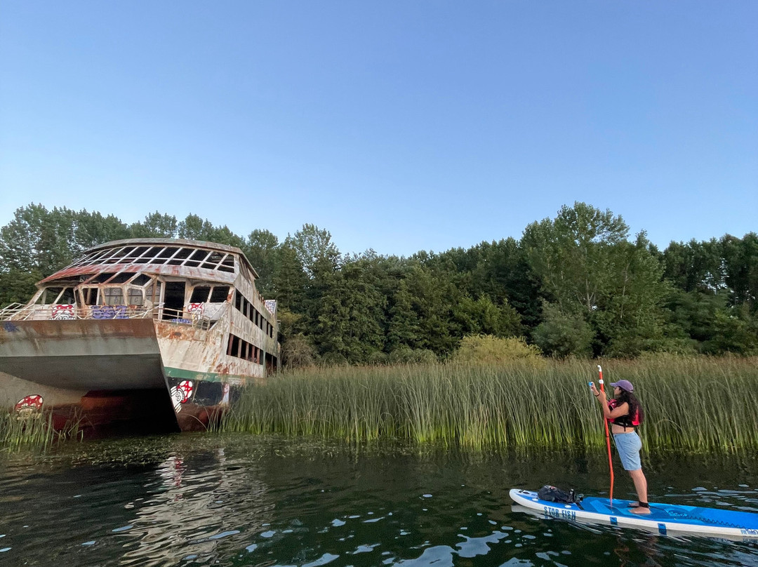 SUP Valdivia Travesías-瓦尔迪维亚必去景点