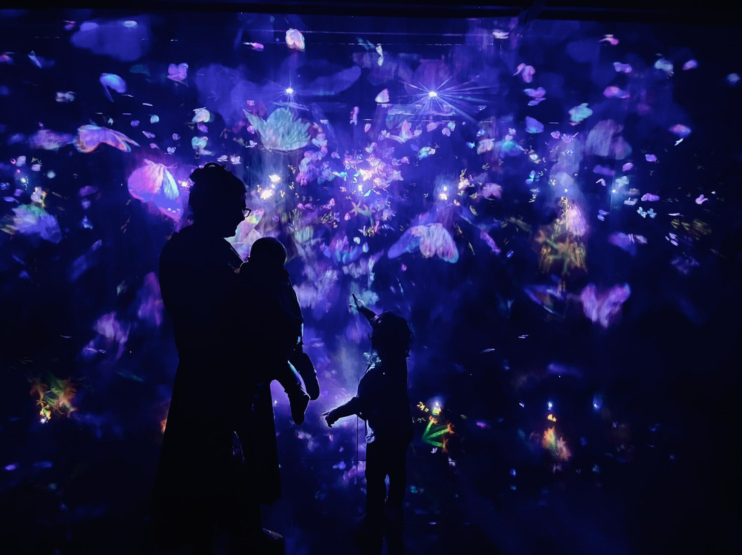 Teamlab Borderless Tokyo Azabudai Hills景点图片