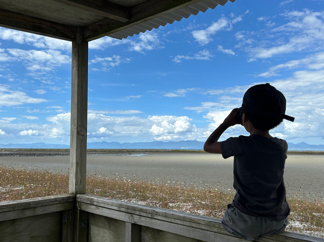 Shorebird Cycles-Kaiaua必去景点