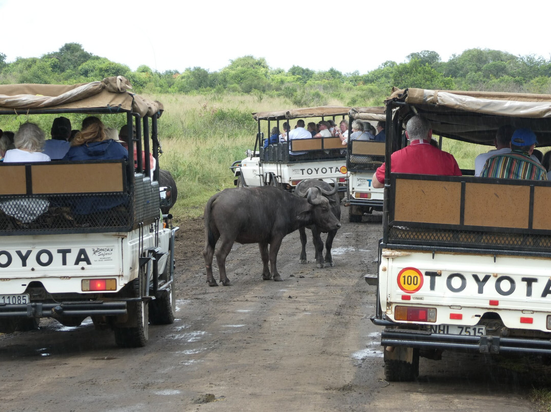 Dini Zulu Safari-Hluhluwe Game Reserve必去景点