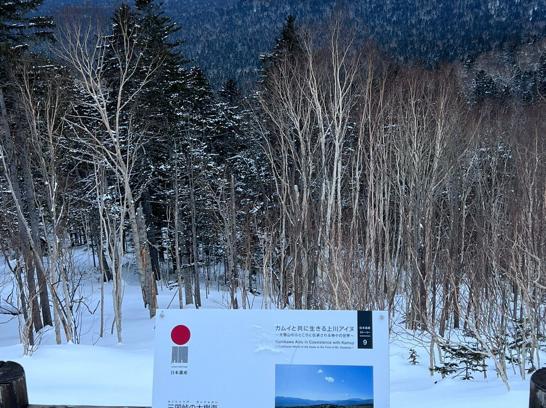 Mikuni Pass Observation Deck-上士幌町必去景点