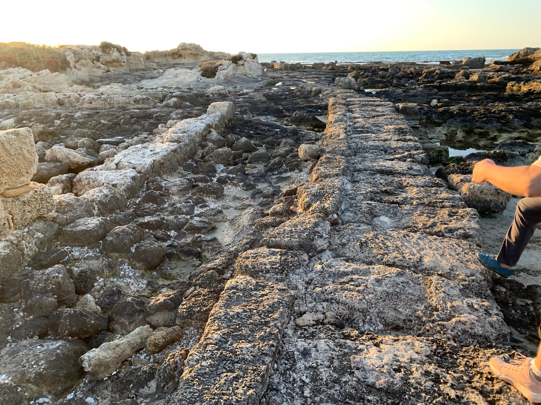 Tel Dor National Park-Nahsholim必去景点
