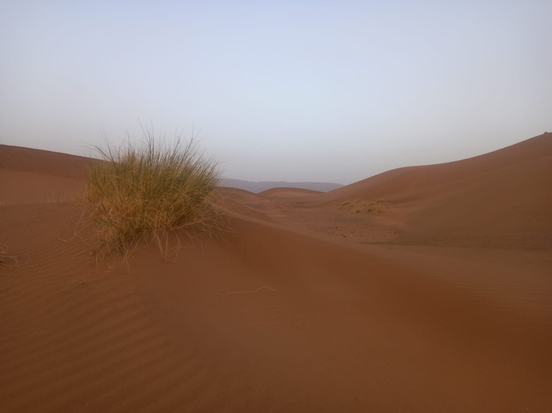 Travel Tamegroute-马拉喀什必去景点