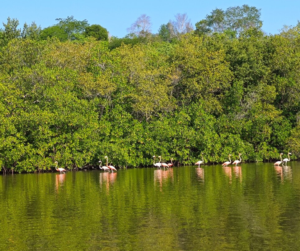 Guanaroca Lagoon景点图片