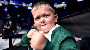 DMZ博物馆-勒吉安必去景点