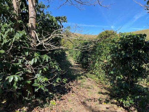 弗洛伦萨农庄旅馆主图