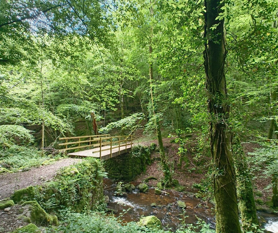 Notre Dame Du Roc-Servieres-le-Chateau必去景点