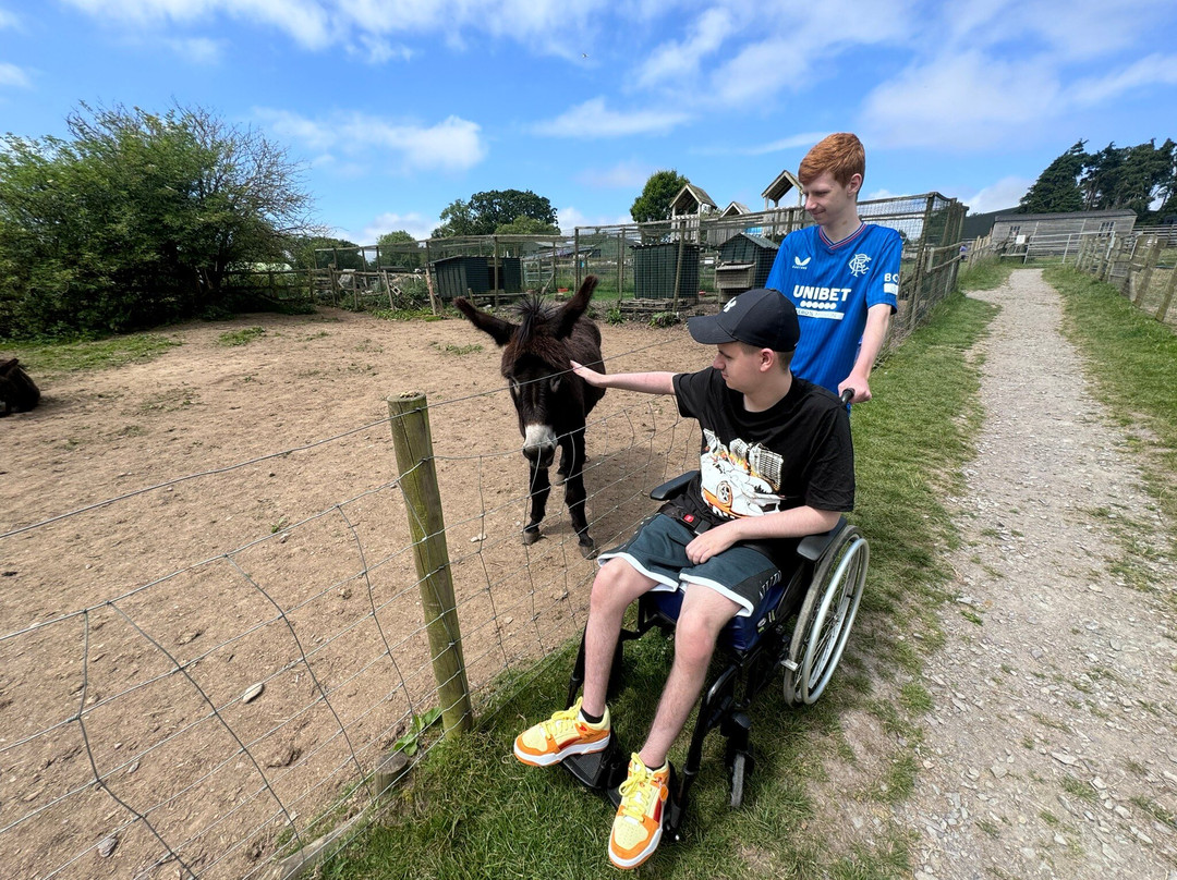 Dwyfor Ranch Rabbit Farm and Animal Park-Llanystumdwy必去景点