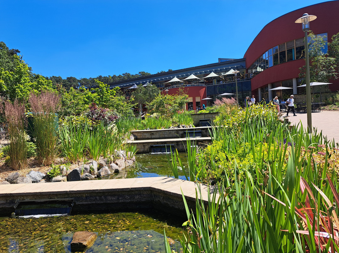 Center Parcs Woburn Forest主图