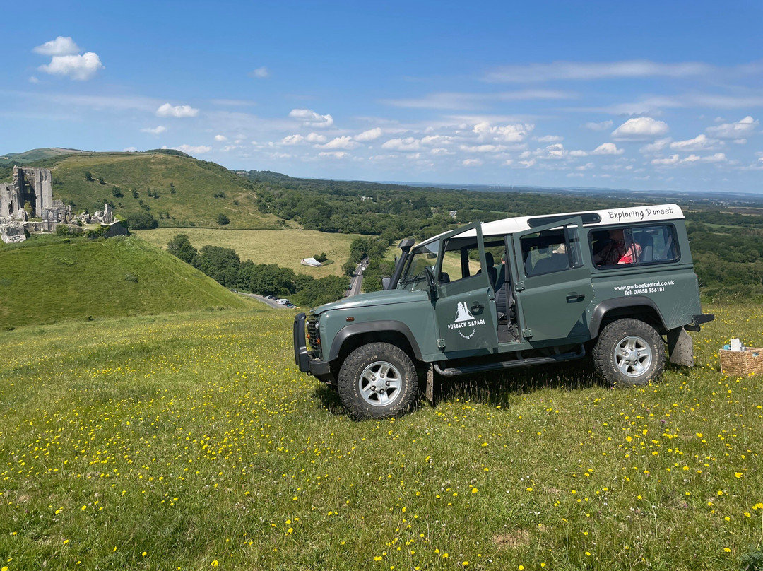Purbeck Safari景点图片