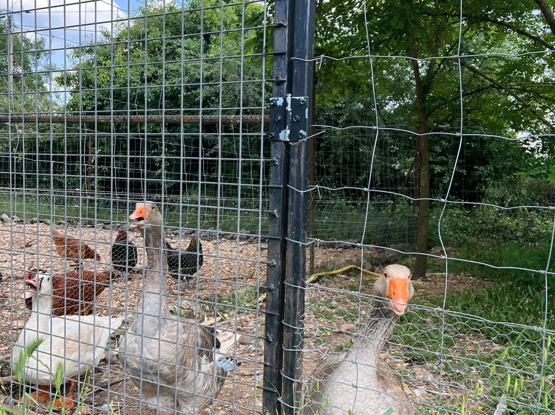 La Ferme de Vigne Haute-Reilhac必去景点