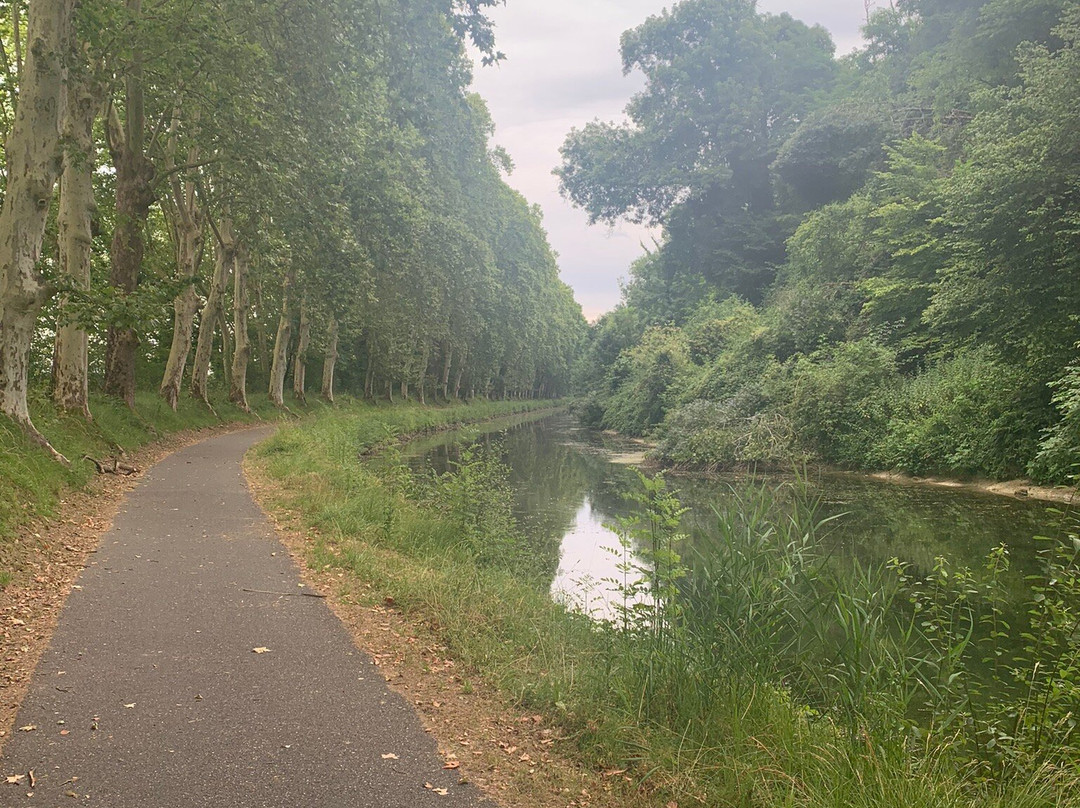 Les Cycles du Canal景点图片