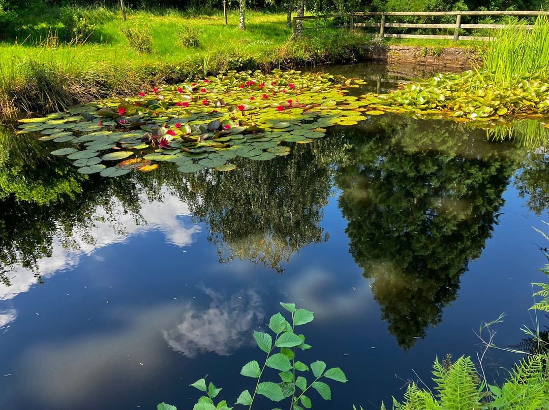 Jardin Alpestre de la Grotte Saint-Vit-Saverne必去景点