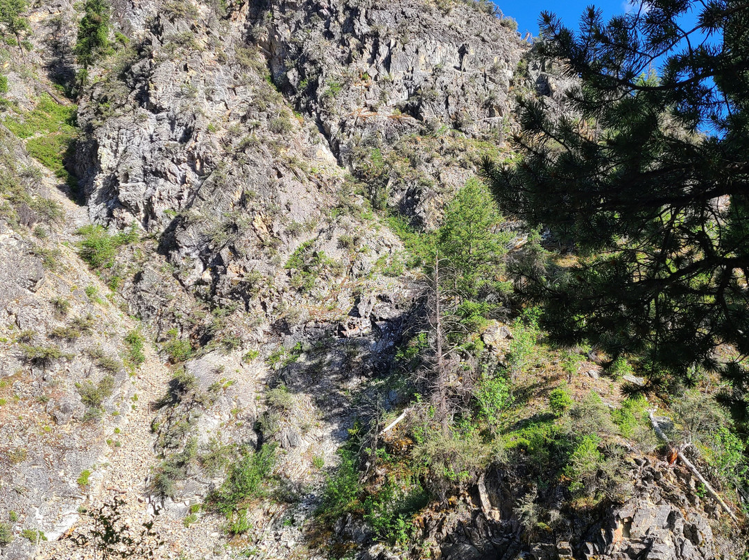 Rocky Mountain River Tours-Stanley必去景点