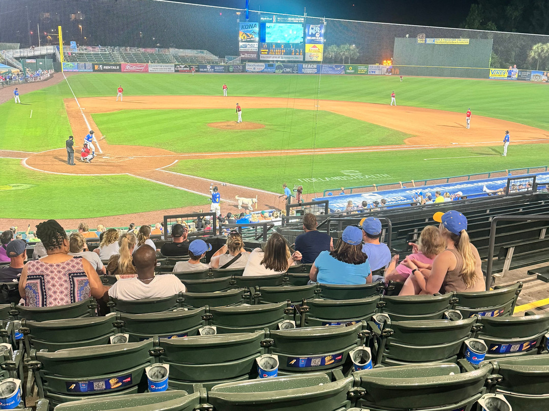 Myrtle Beach Pelicans-美特尔海滩必去景点