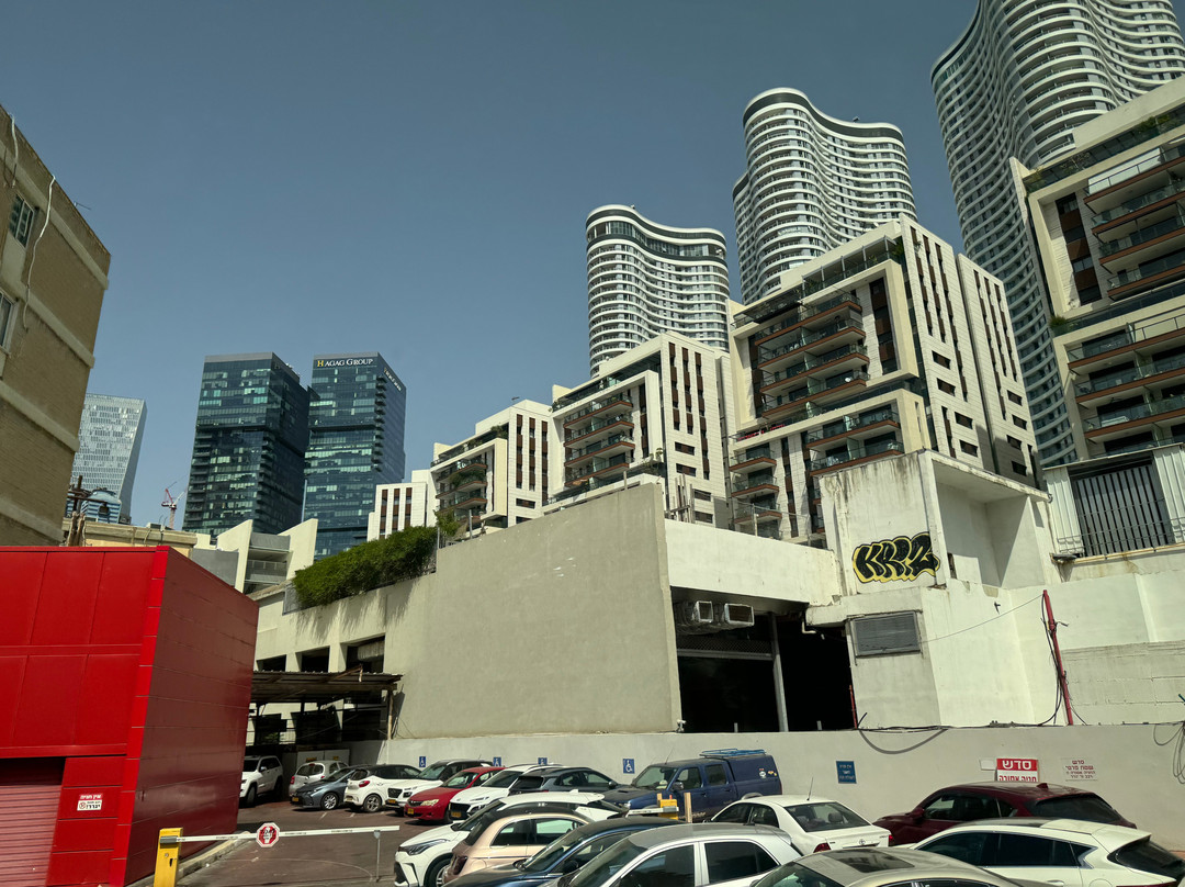 Shimon Edrey Tours in Israel-Lod必去景点