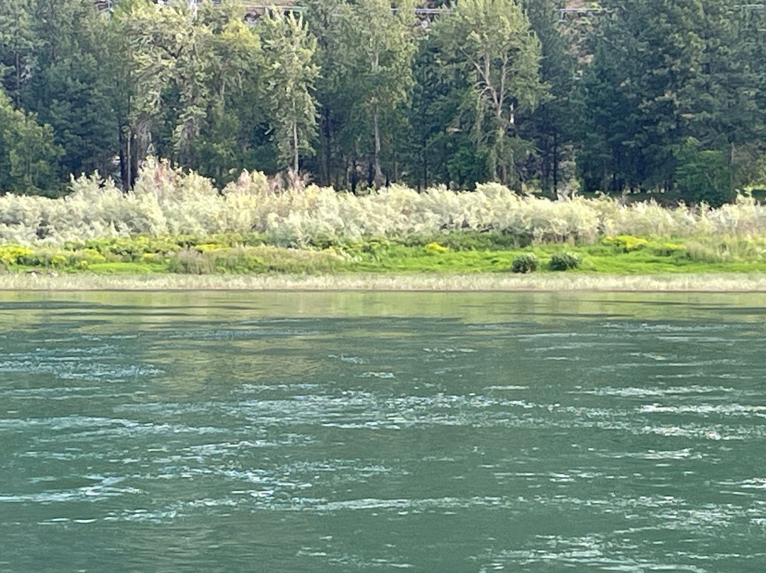 Rocky Point Ranch主图