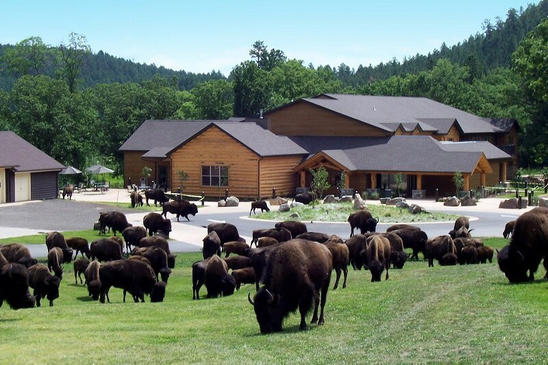 Creekside Lodge