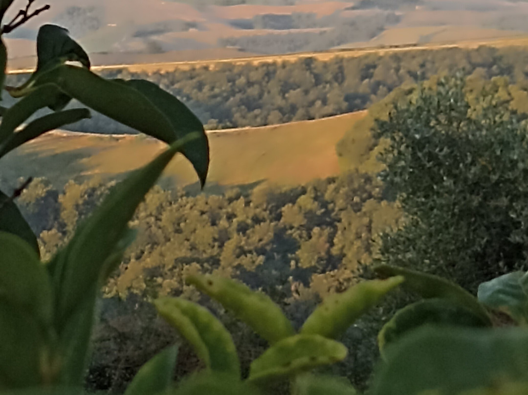 Pieve a Salti
