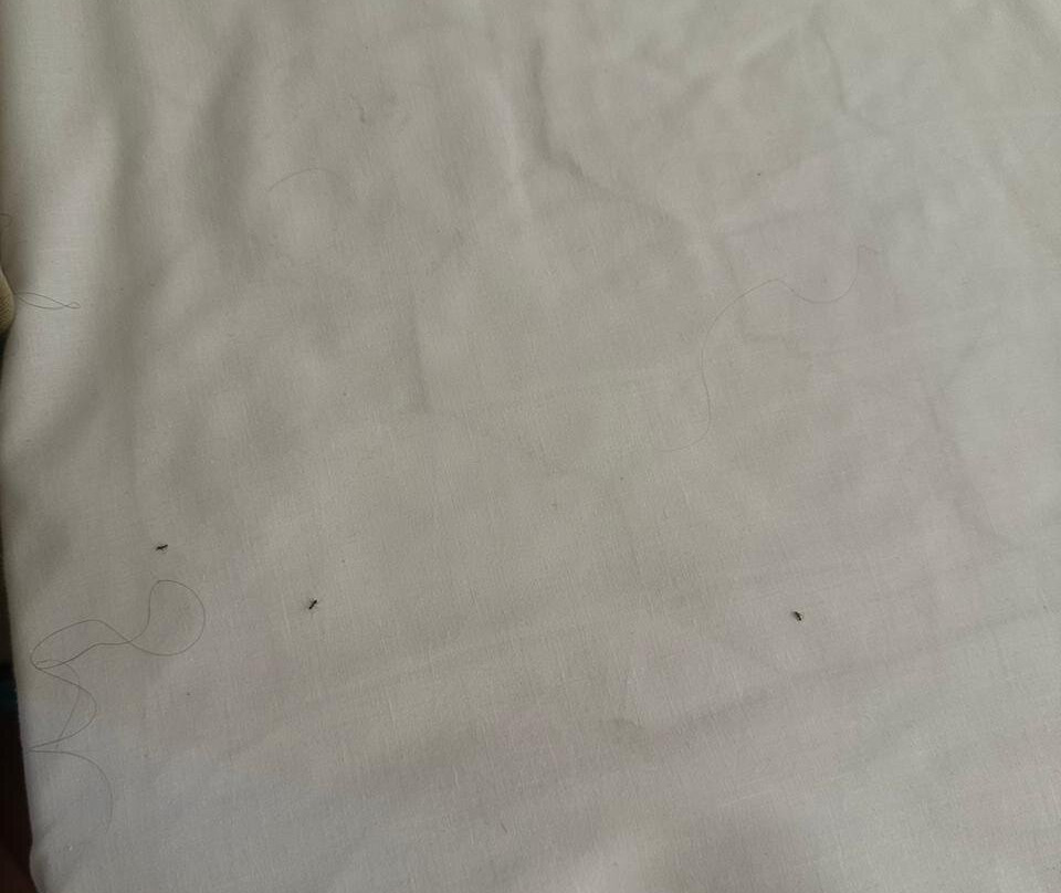 Makronisos Holiday Village主图