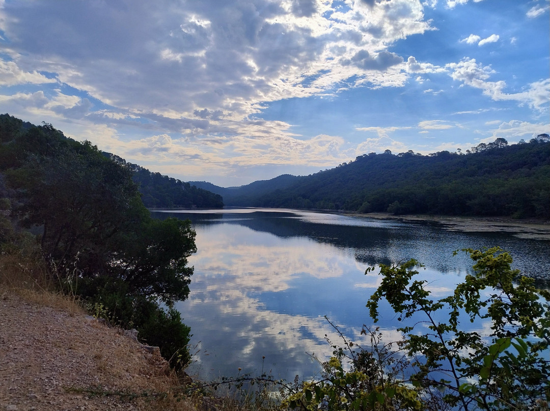Lac de Carcès景点图片