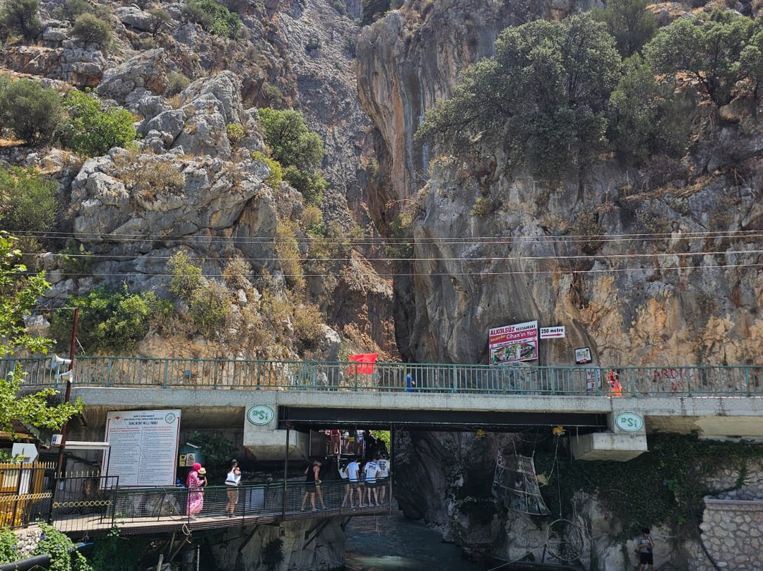 Travelicious Travel Agency景点图片