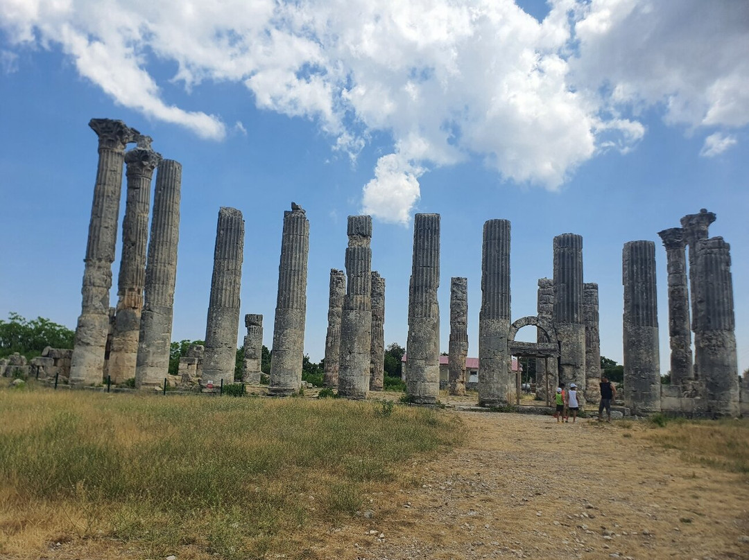 Ancient city of Diocaesarea-Olba景点图片